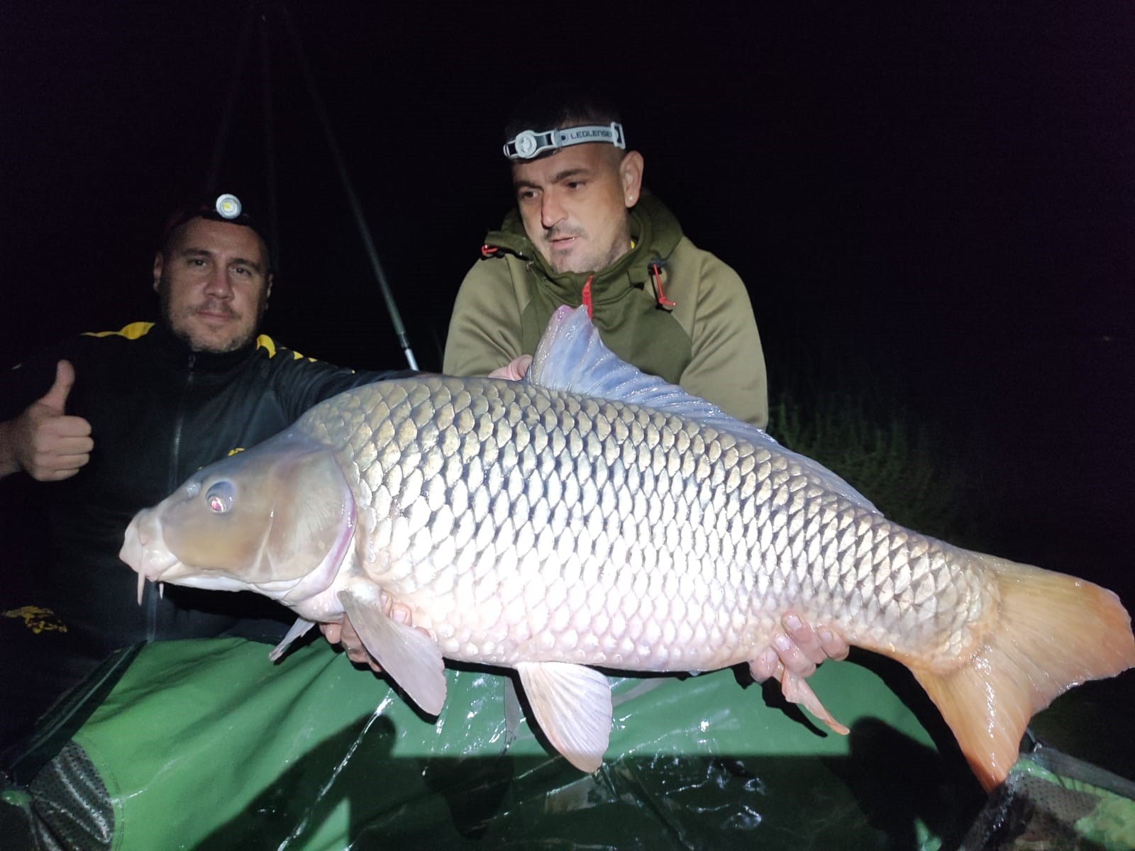 Sacosul Turcesc 2022 - IMG20220908WA0029.jpg